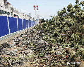 滸灣“一水兩岸”景觀工程正式啟動(dòng)勘察，打造濱水生態(tài)新地標(biāo)